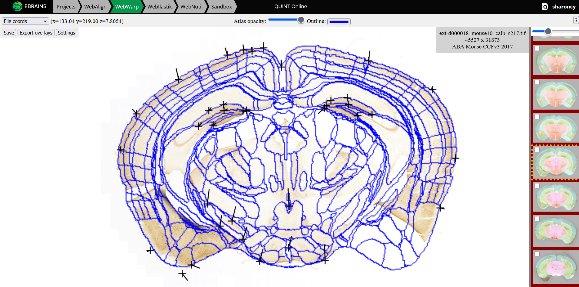 _images/WebWarp_Calb.png