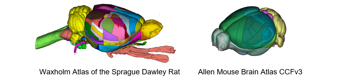 _images/atlases.PNG